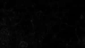 Black Marble Earth At Night Wallpaper