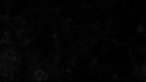 Black Marble Earth At Night Wallpaper