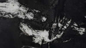 Black Marble Satellite View Wallpaper