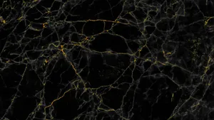 Black Marble Texture With Gold Veins Wallpaper