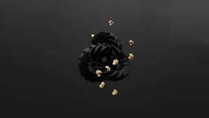 Black Minimalist Flower Computer Wallpaper