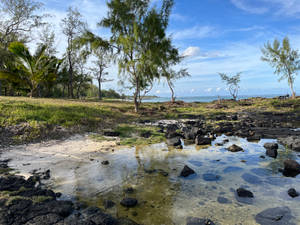 Black Rocks On Mauritius Island Wallpaper