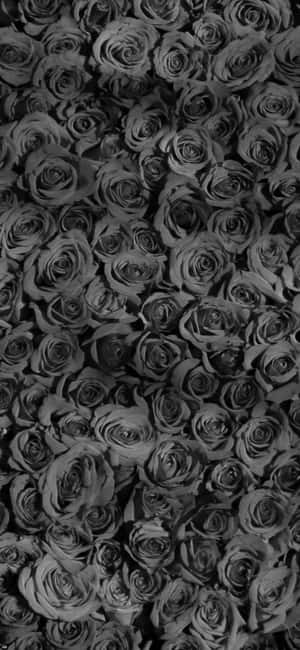 Black Roses Pattern Wallpaper