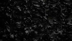 Black Roses Pattern Texture Wallpaper