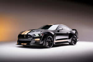 Black Shelby G T500 Studio Shot Wallpaper