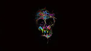 Black Skull Colorful Wallpaper