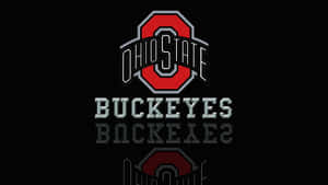 Black Surface Reflecting The Buckeyes Ohio State Logo Wallpaper