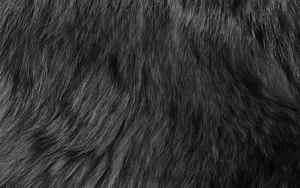 Black Textured Hair Closeup Wallpaper