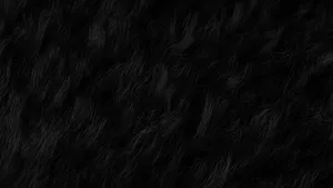 Black_ Textured_ Hair_ Closeup.jpg Wallpaper