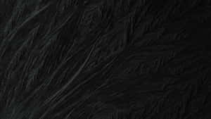 Black Textured Paint Surface Wallpaper