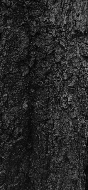 Black-textured Tree Bark Wallpaper