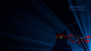 Black Windows 10 Hd Black Cat Wallpaper