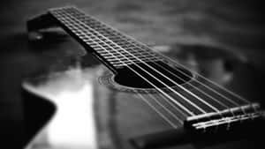 Blackand White Acoustic Guitar Wallpaper