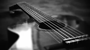 Blackand White Acoustic Guitar Wallpaper