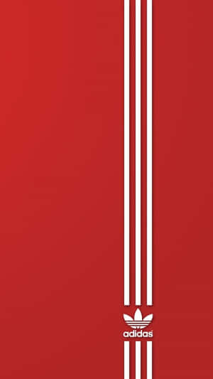 Blading And Adventure: Sunset Skater At The Beach Wallpaper