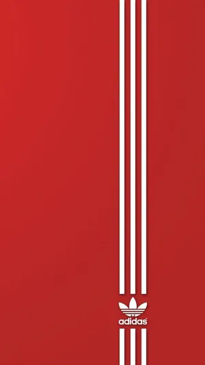 Blading And Adventure: Sunset Skater At The Beach Wallpaper