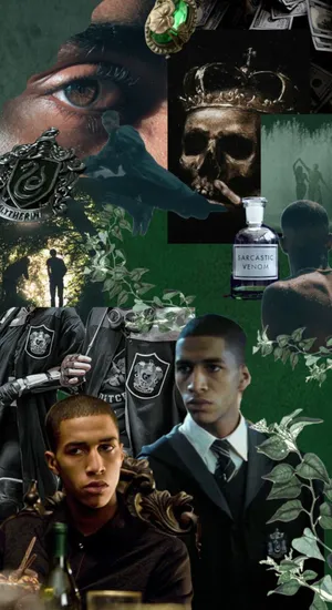 Blaise Zabini Character Overview Wallpaper