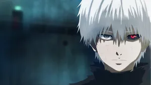 Blank Stare Kaneki Pfp Wallpaper
