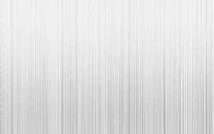 Blank White Black Lines Wallpaper