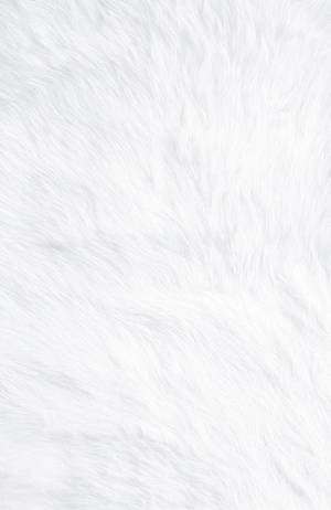 Blank White Fur Texture Wallpaper