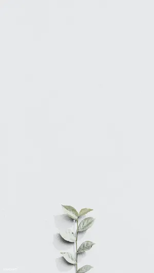 Blank White Wall With Painted Plant Wallpaper
