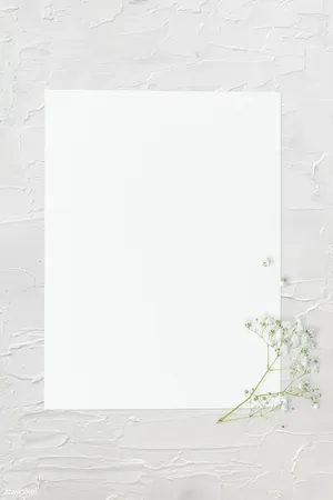 Blank White With Frame And White Flowers Wallpaper