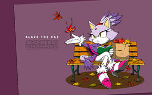 Blaze The Cat Sonic The Hedgehog Wallpaper