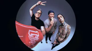 Blink182 Fisheye Portrait Wallpaper