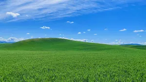Bliss Green Rolling Hills Wallpaper