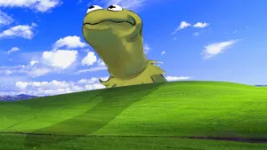 Blissful Frog On Green Hill Wallpaper