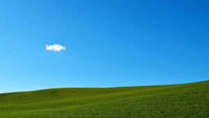 Blissful Green Hill Landscape Wallpaper