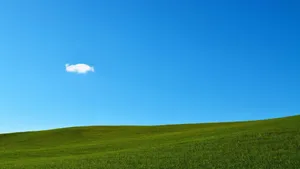 Blissful Green Hill Landscape Wallpaper