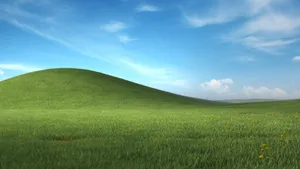 Blissful Green Hill Landscape Wallpaper