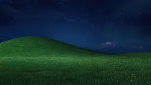 Blissful Green Hill Night Wallpaper
