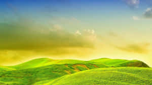 Blissful Green Hills Wallpaper