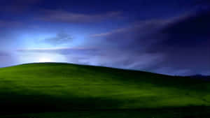 Blissful Green Hills Wallpaper