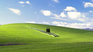 Blissful Green Hills Landscape Wallpaper