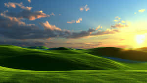 Blissful Green Hills Sunset Wallpaper