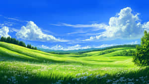 Blissful Green Meadow Wallpaper