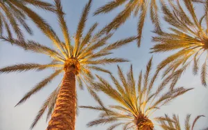 Blissful Panorama Of Lake And Mountain. Wallpaper