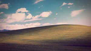 Blissful Rolling Green Hills Wallpaper