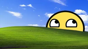 Blissful Smile Over Green Hill Wallpaper