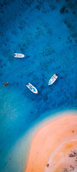 Blissful Sunrise At The Shore Wallpaper