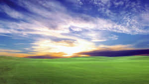 Blissful Sunrise Over Green Field Wallpaper