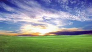 Blissful Sunrise Over Green Field Wallpaper
