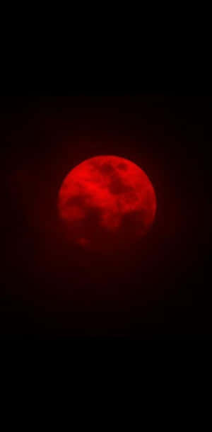Blood Moon Portrait Wallpaper