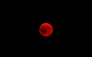 Blood Red Circle Moon Wallpaper