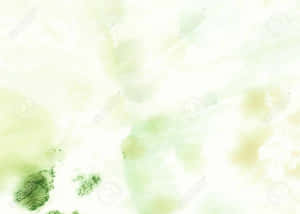 Blooming Diversity In Nature Wallpaper