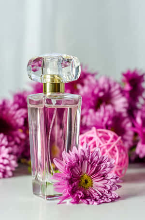 Blooming Floral Fragrance In Vibrant Colors Wallpaper