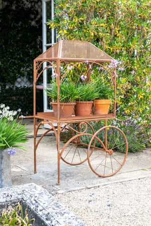 Blooming Flower Cart On A Sunny Day In The Park Wallpaper